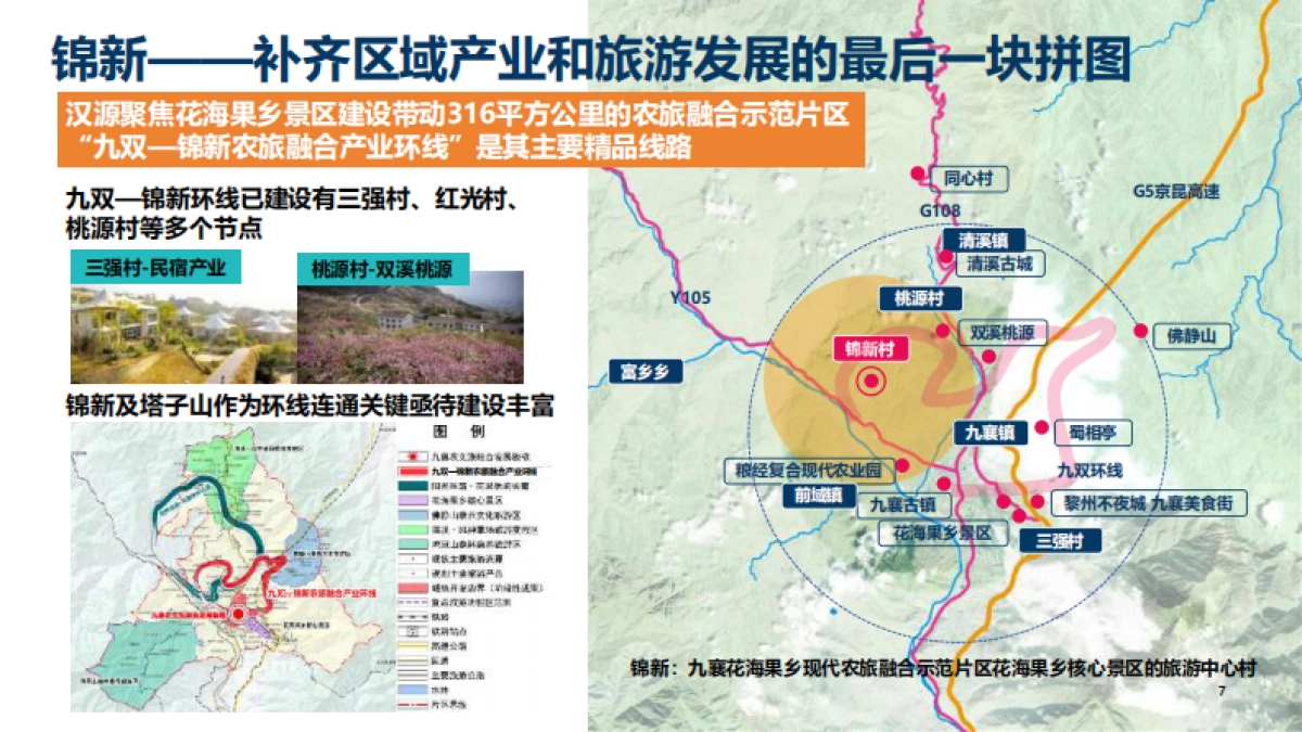 2025汉源县锦新村乡镇农村水果种植产业乡村振兴规划运营方案_第8页