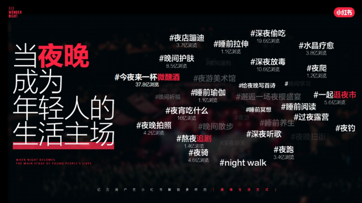 2025小红书夜人节招商方案_第2页