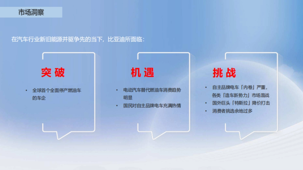 比亚迪新知车主百日共创计划_第4页