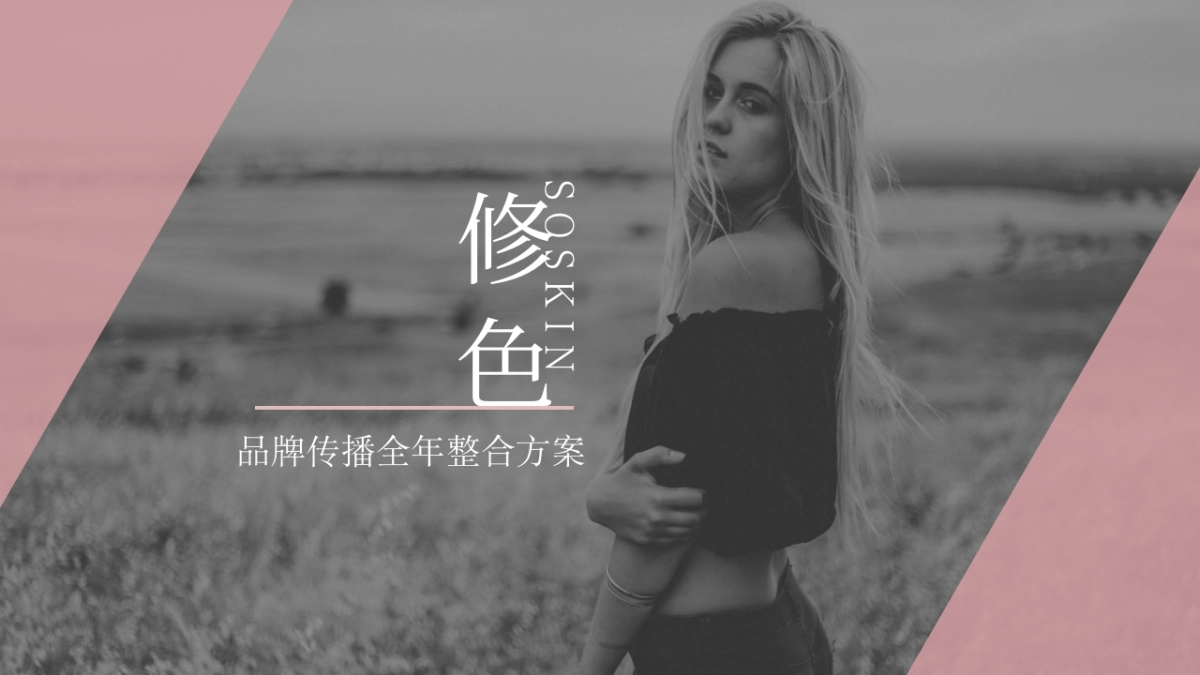修色品牌传播全年整合方案_第1页