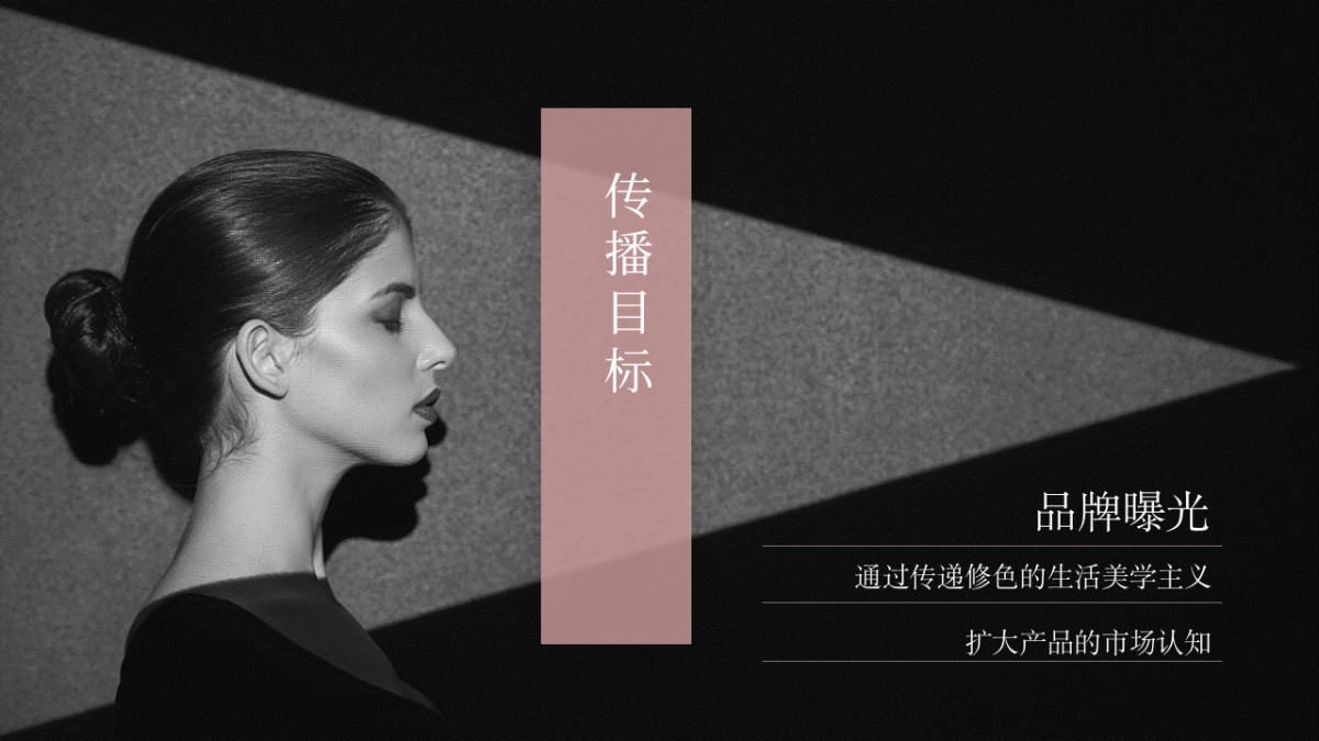 修色品牌传播全年整合方案_第4页