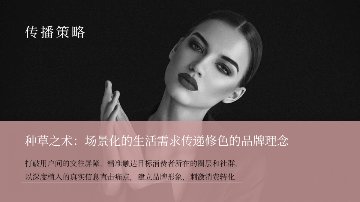 修色品牌传播全年整合方案_第7页