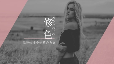修色品牌传播全年整合方案