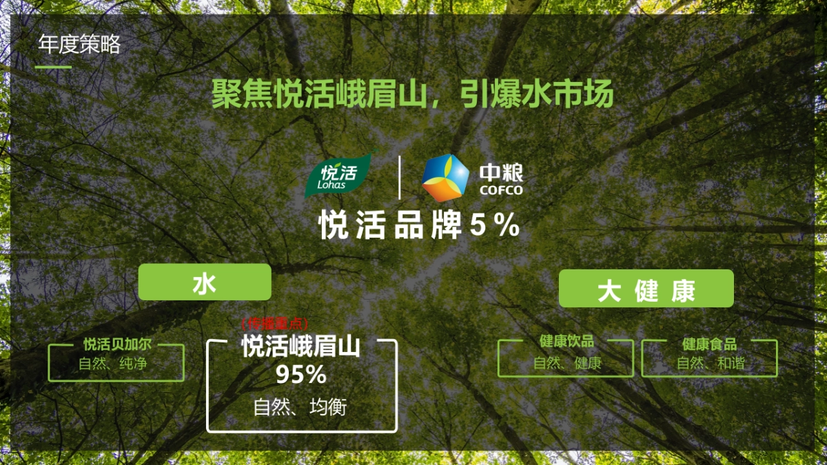 天然矿泉水品牌社交媒体年度传播矩阵提案_第5页