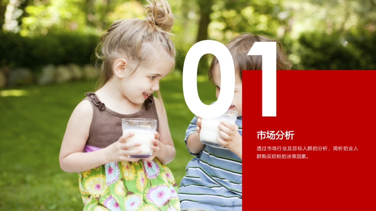 牛奶品牌全年规划框架_第3页