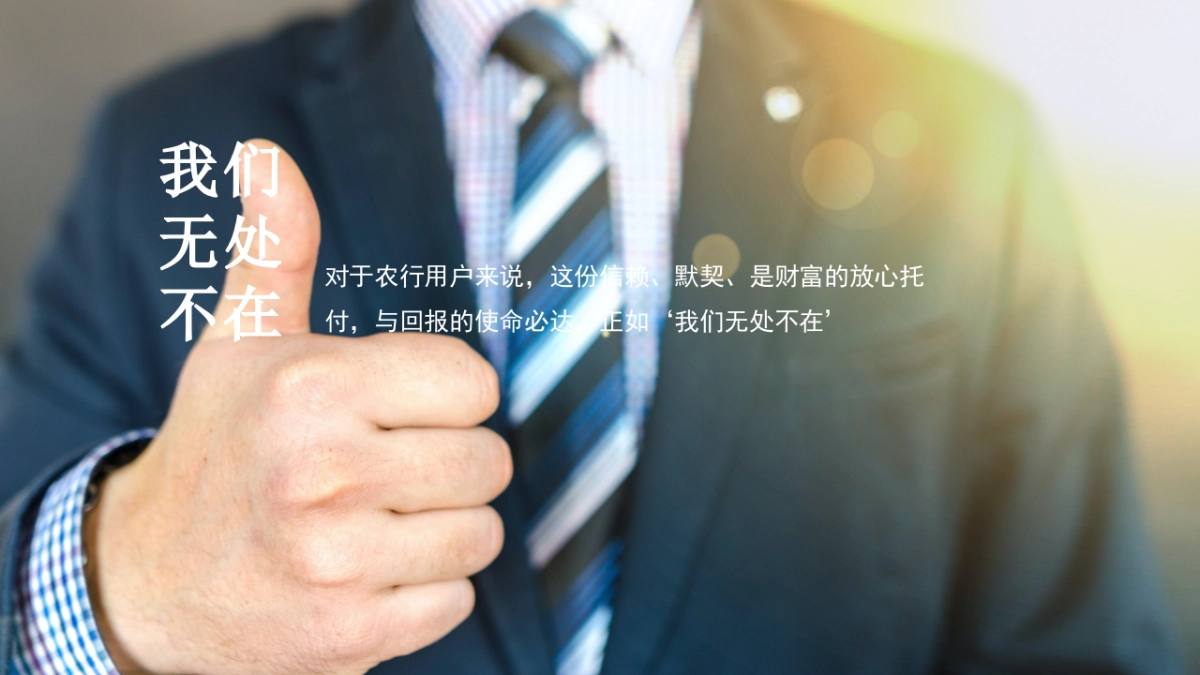 中国农业银行全年营销策划案_第10页