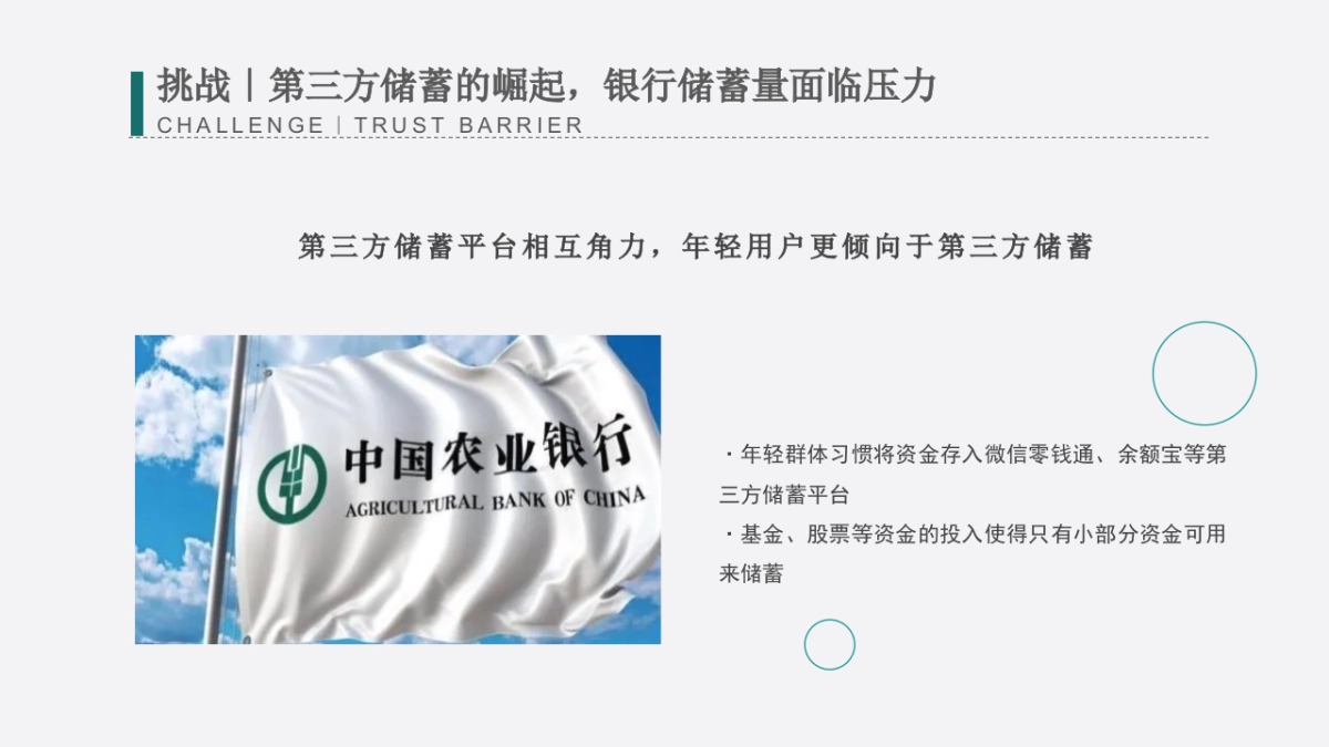 中国农业银行全年营销策划案_第5页