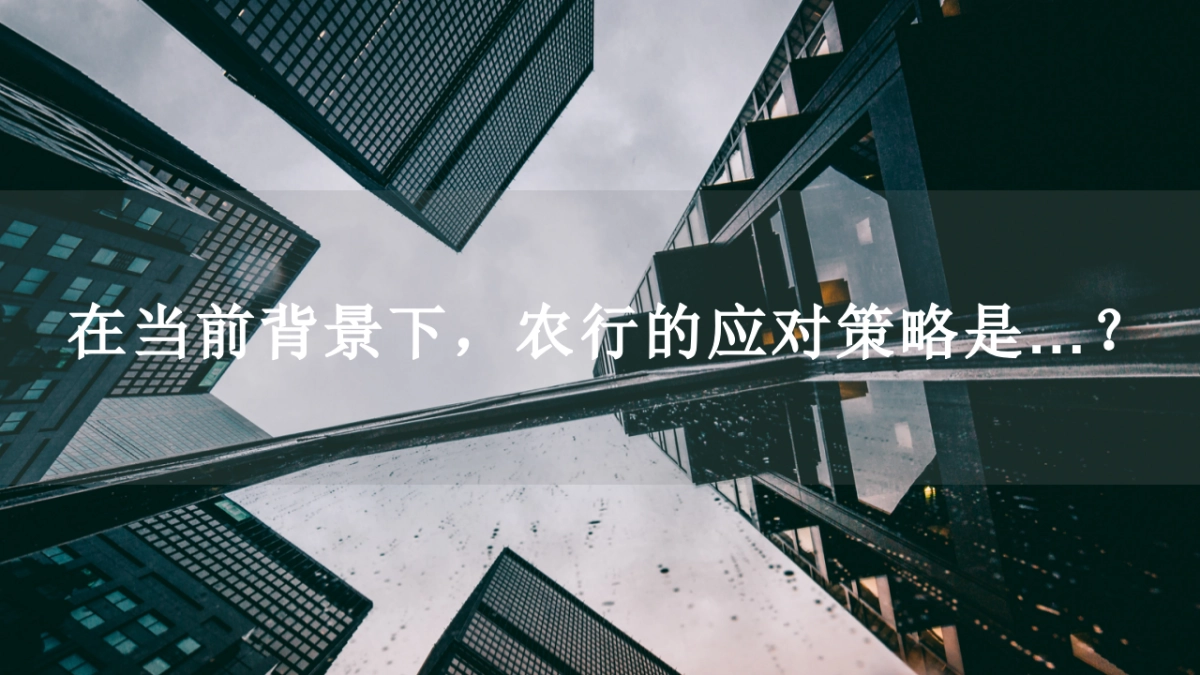 中国农业银行全年营销策划案_第7页