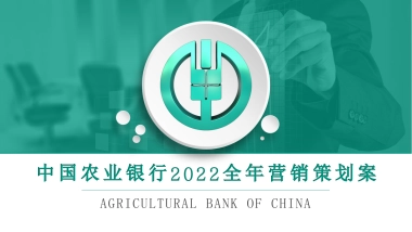 中国农业银行全年营销策划案