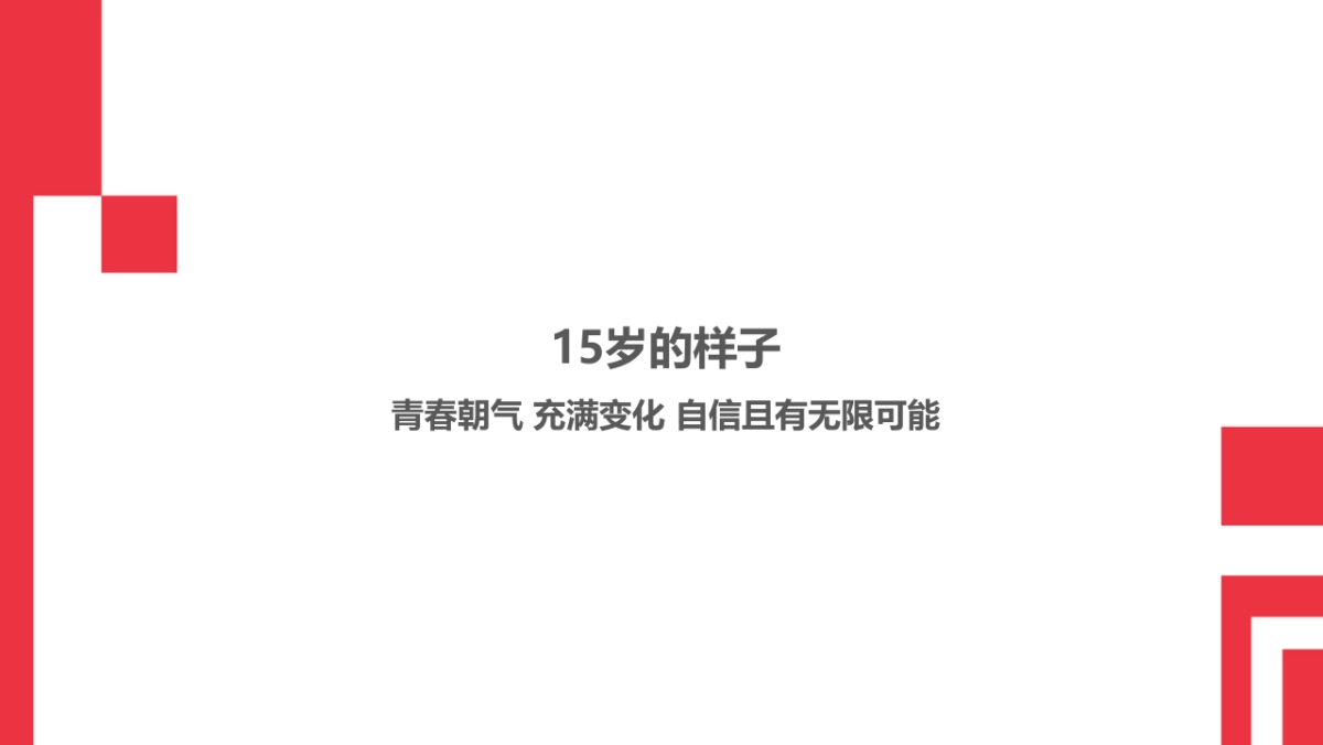 招商银行15周年传播方案-167P_第4页