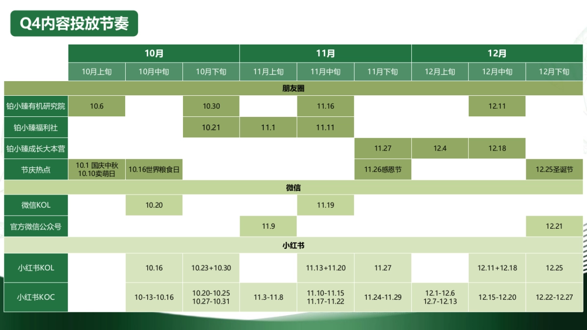 婴幼儿配方奶粉品牌Q4营销方案_第10页