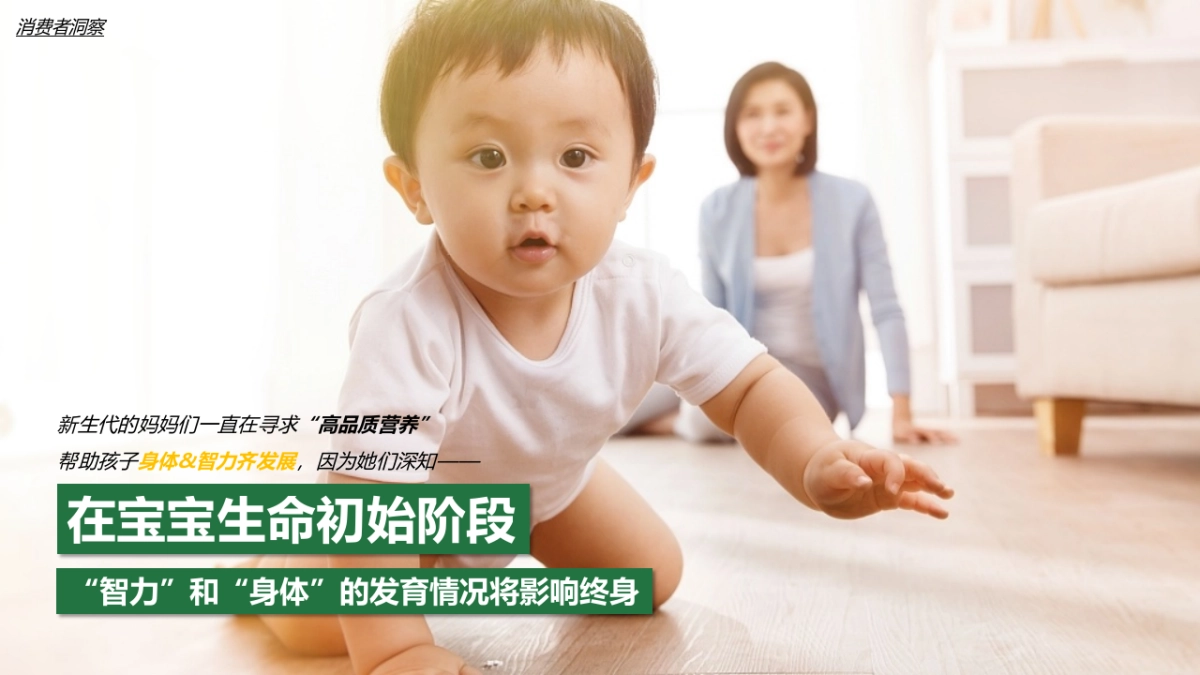 婴幼儿配方奶粉品牌Q4营销方案_第4页