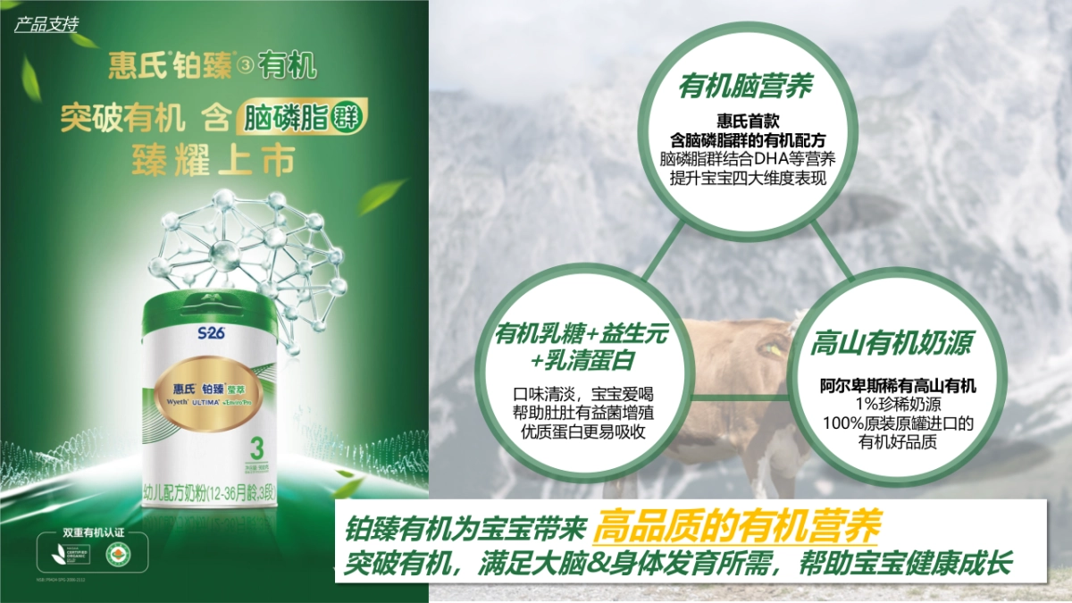 婴幼儿配方奶粉品牌Q4营销方案_第5页