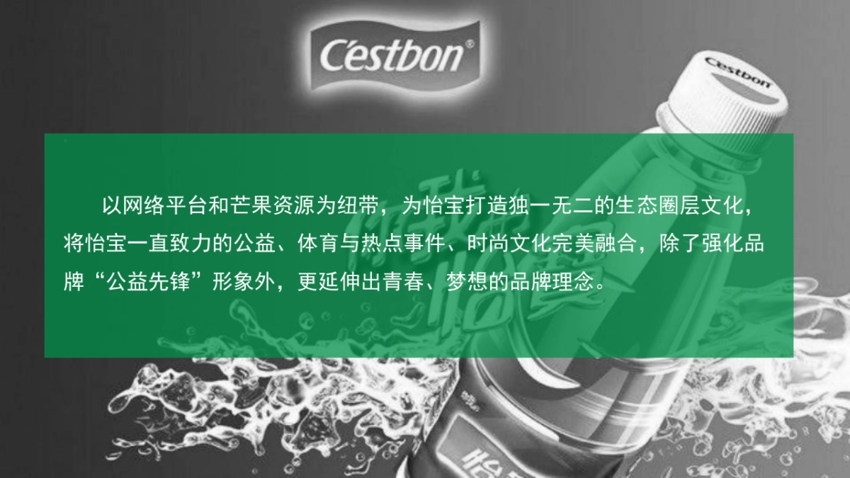 饮料品牌年度推广方案_第4页