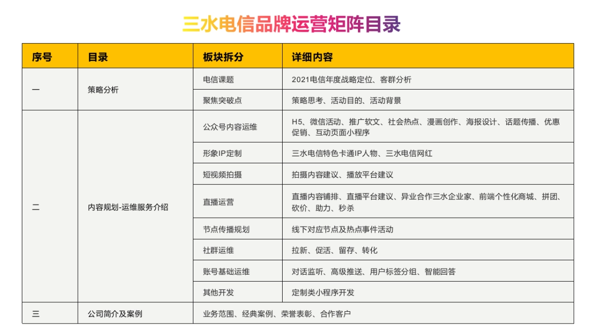 2021中国电信年度传播营销方案-160P_第2页