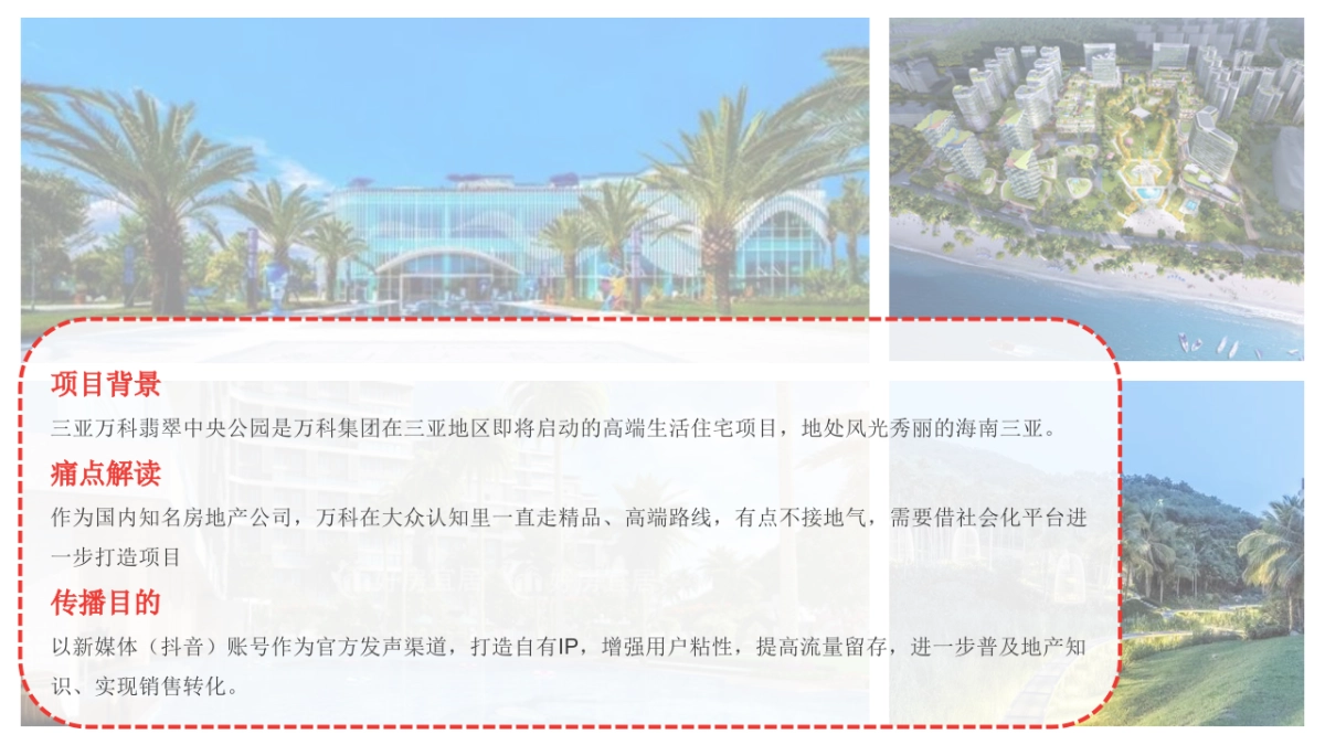 海南万科年度抖音代运营&全网营销传播规划方案_第3页