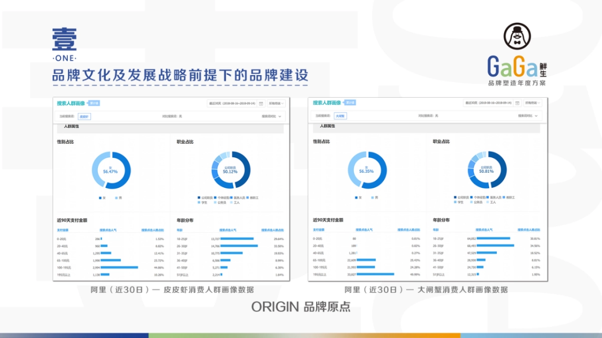 GaGa鲜生 品牌塑造年度方案_第10页