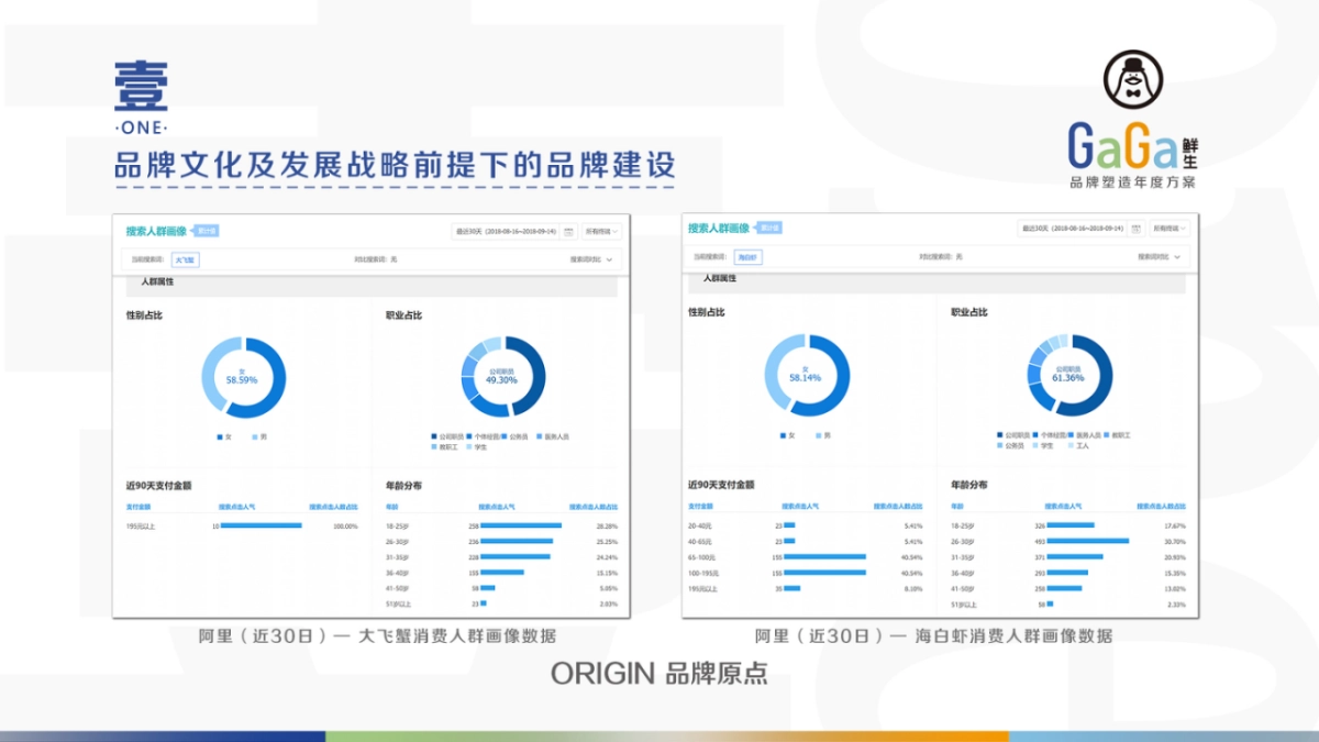 GaGa鲜生 品牌塑造年度方案_第9页