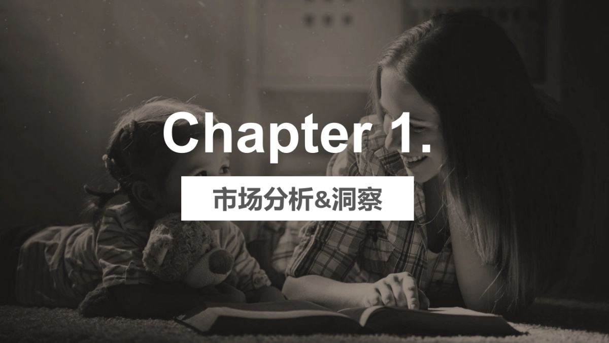 Arla年度营销方案_第3页