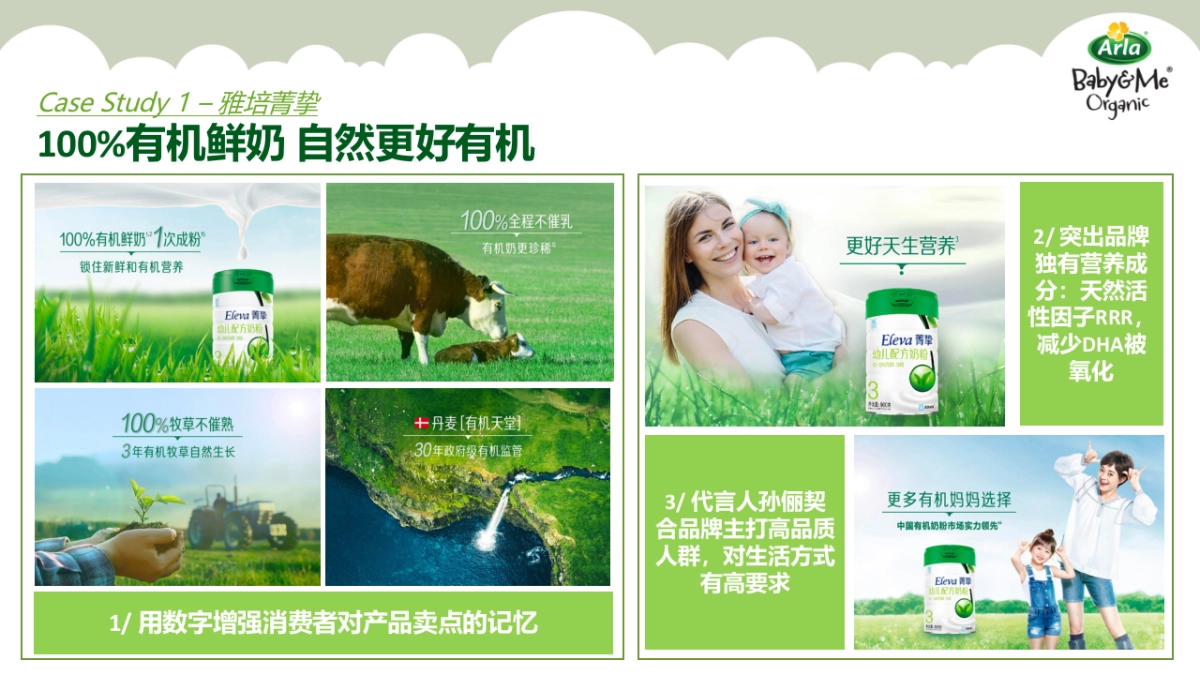 Arla年度营销方案_第4页
