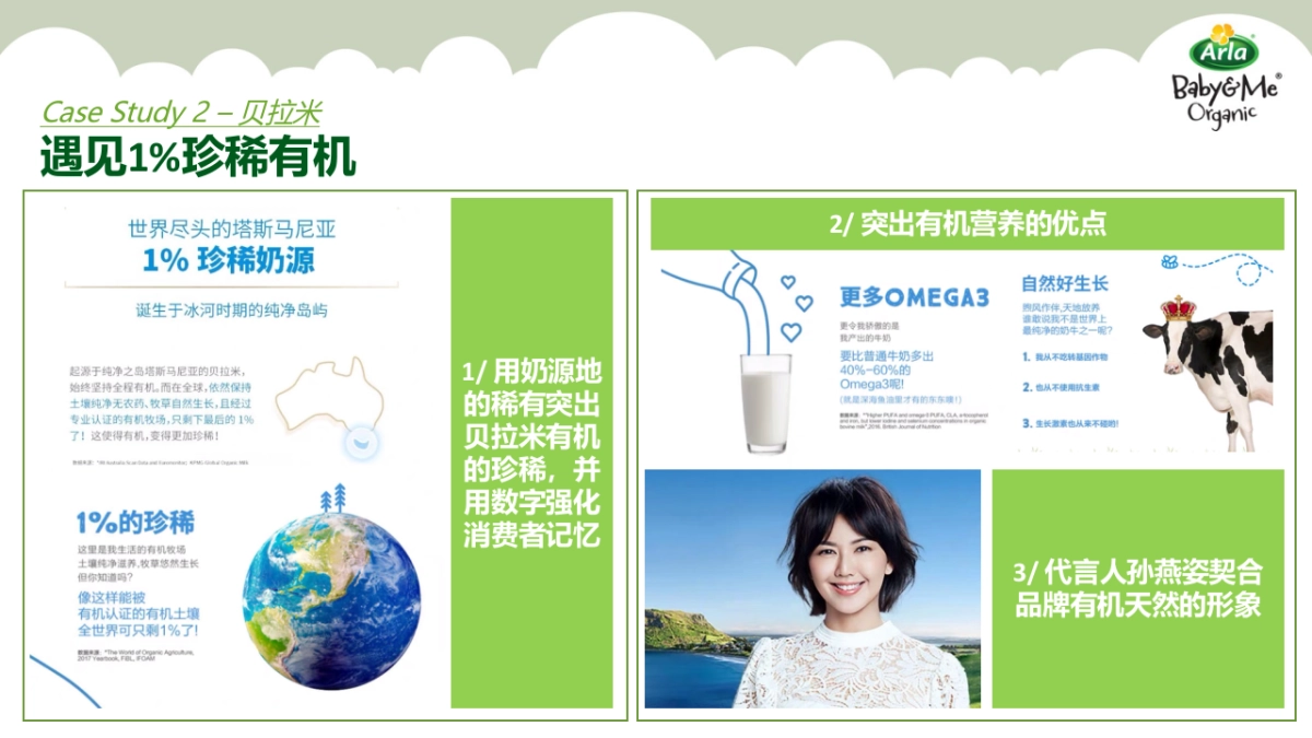 Arla年度营销方案_第5页