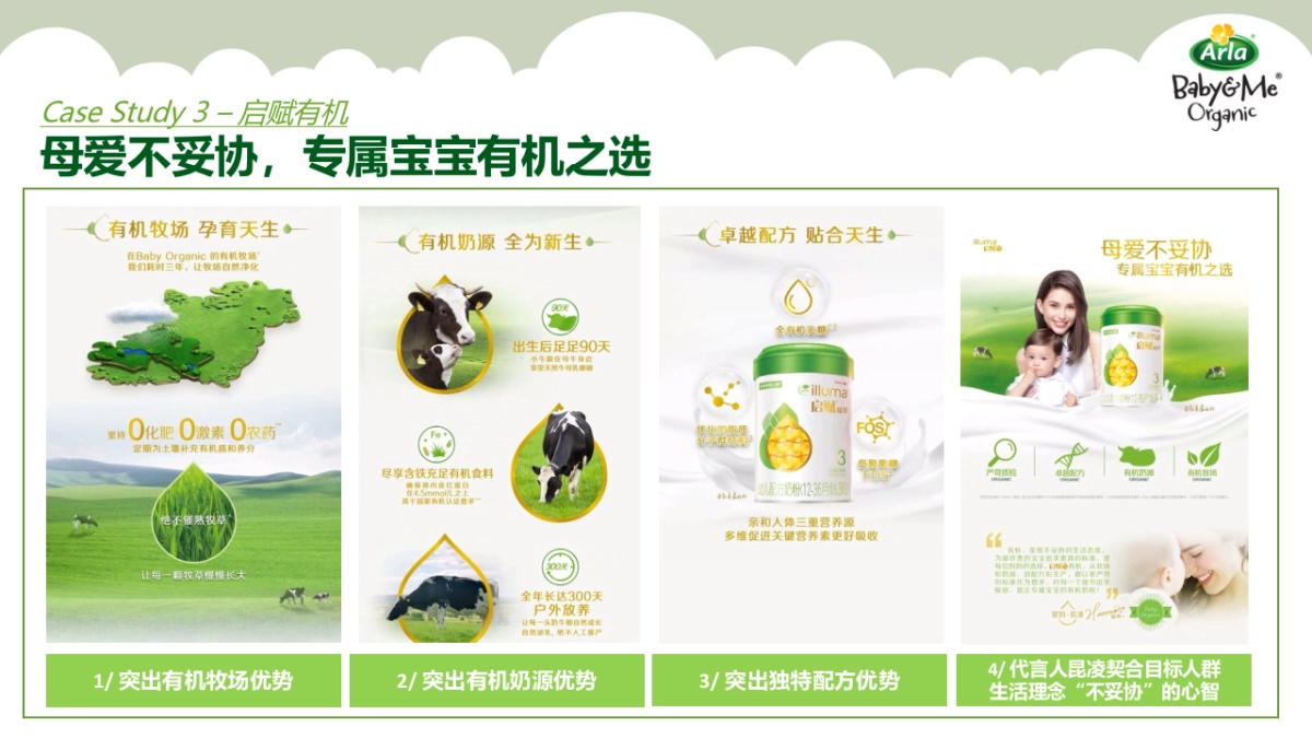 Arla年度营销方案_第6页