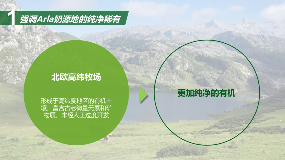 Arla年度营销方案_第9页