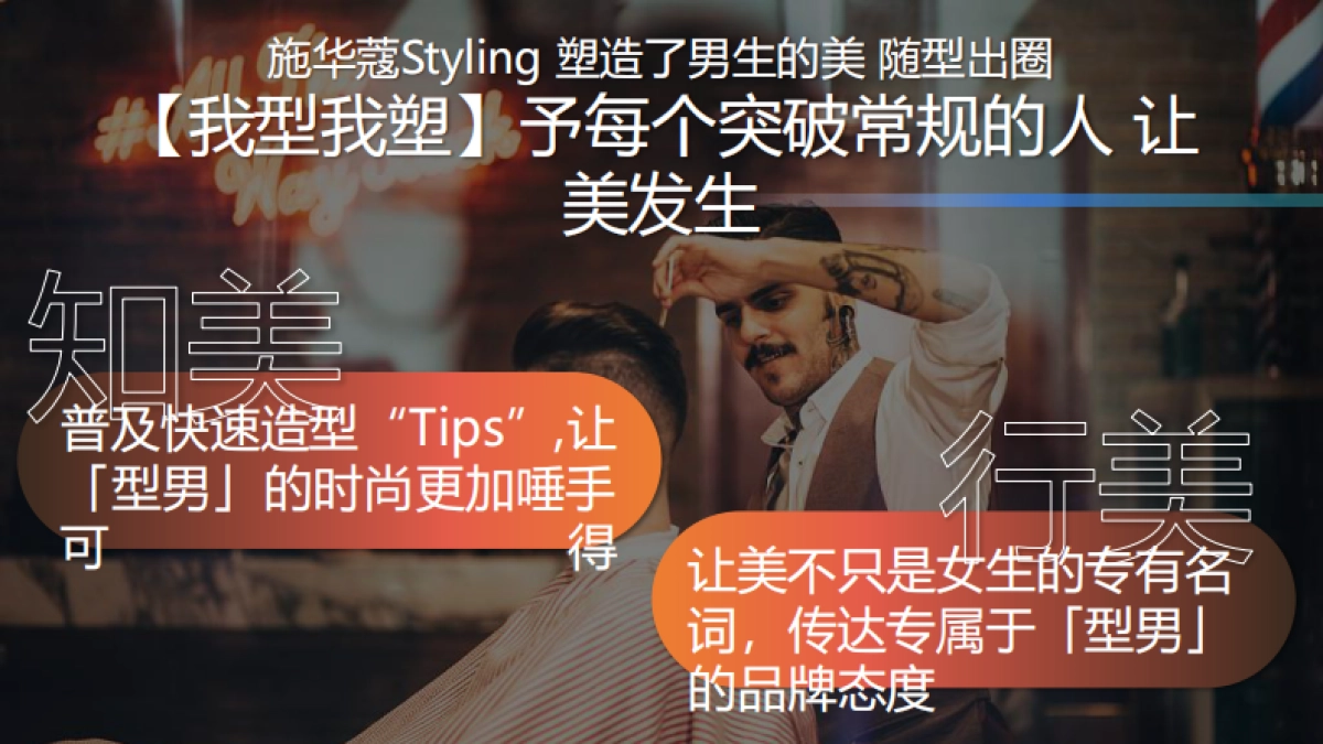 施华蔻Styling年度方案_第3页