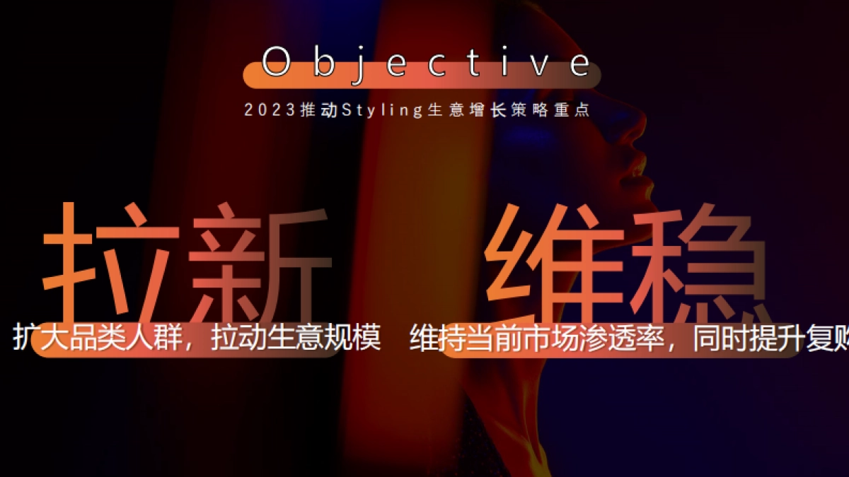 施华蔻Styling年度方案_第5页