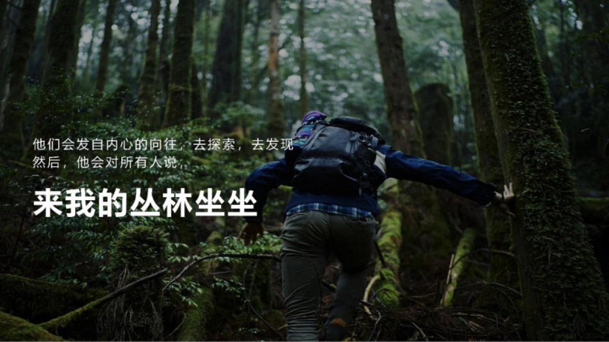 森林里景区全年营销规划方案_第4页