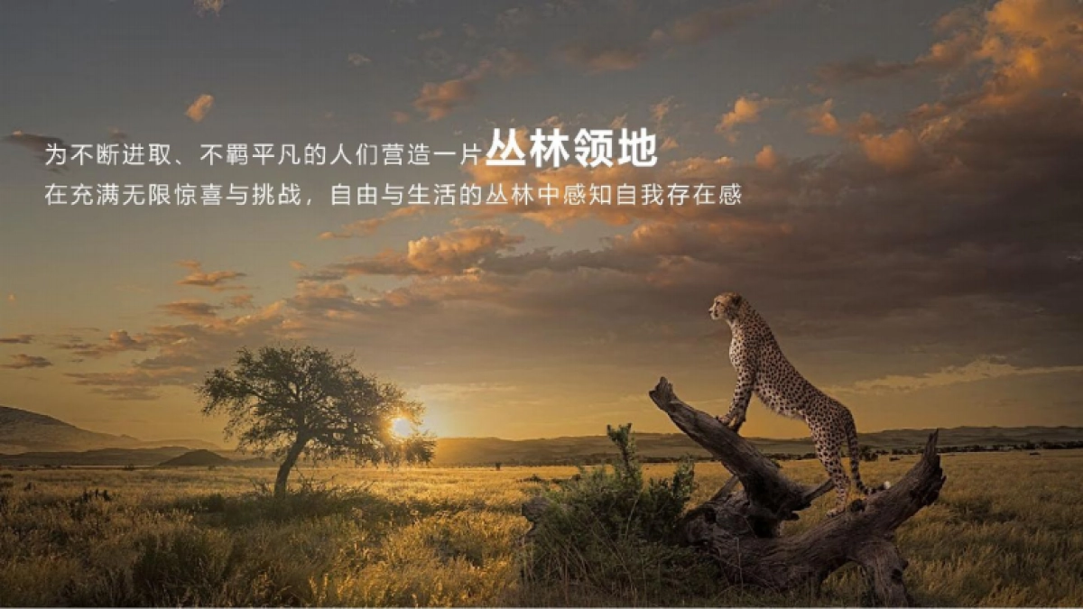 森林里景区全年营销规划方案_第5页