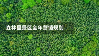 森林里景区全年营销规划方案