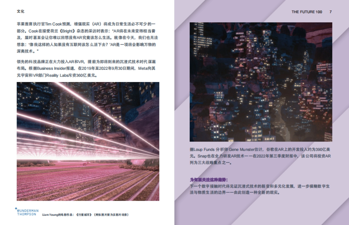 全球100大趋势报告_第7页