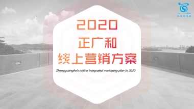 正广和汽水线上年度营销方案