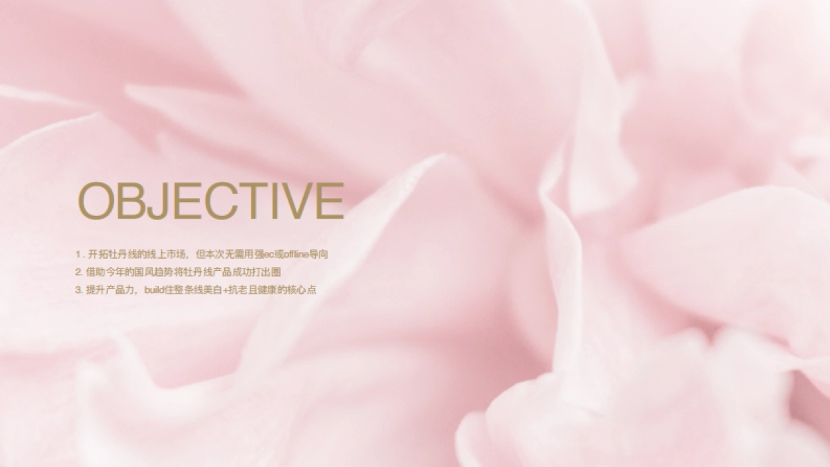 【FINAL】巴黎欧莱雅AP牡丹v2_第3页