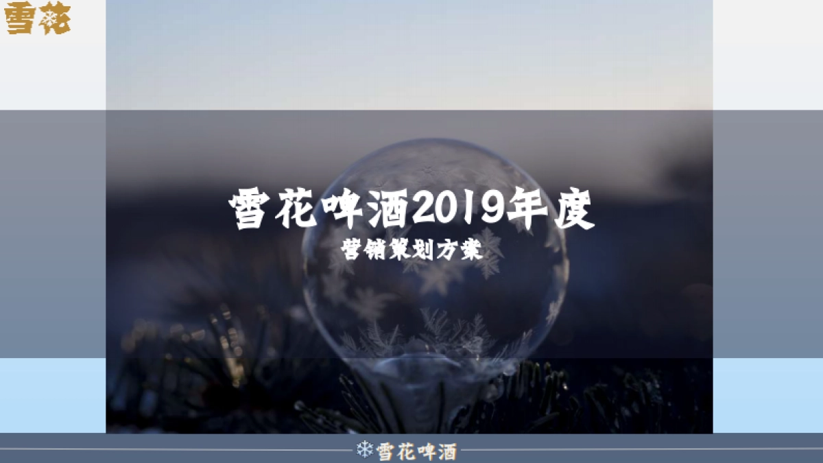 陈婷夫（雪花啤酒2019年度营销策划方案）_第1页