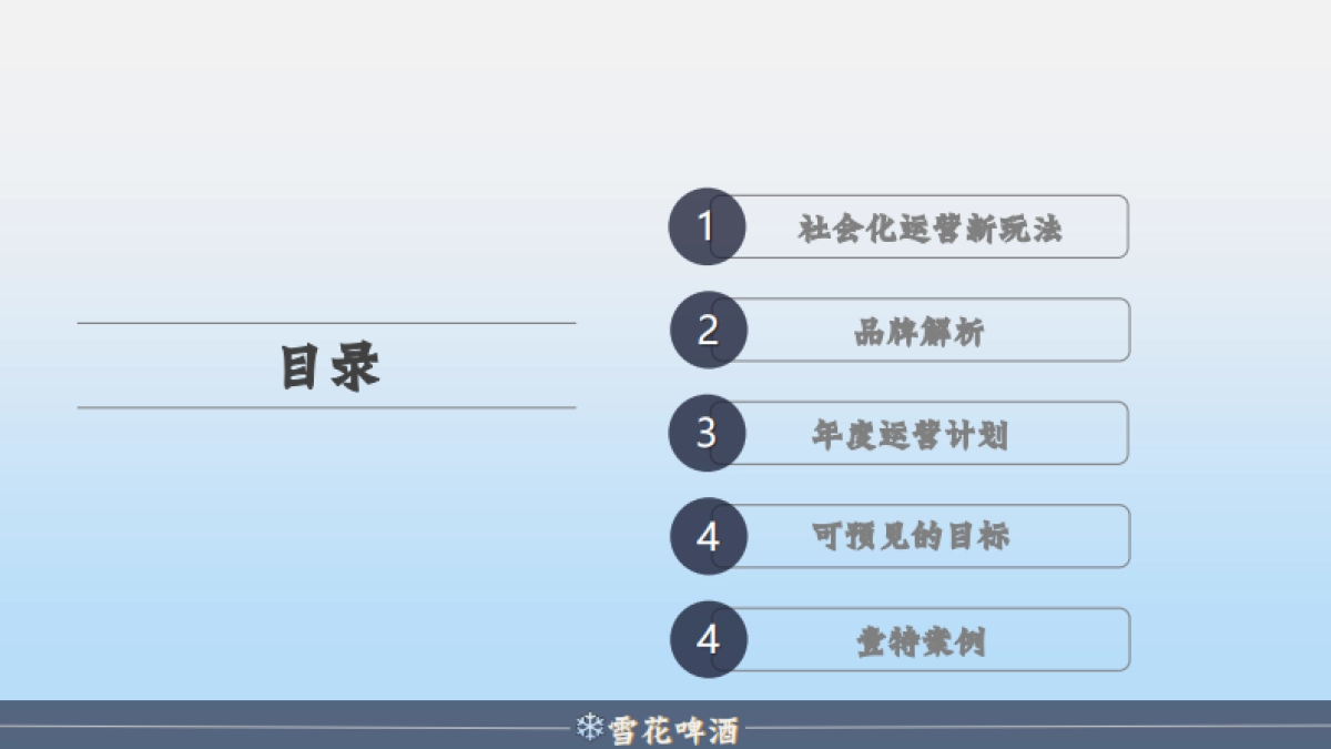 陈婷夫（雪花啤酒2019年度营销策划方案）_第2页