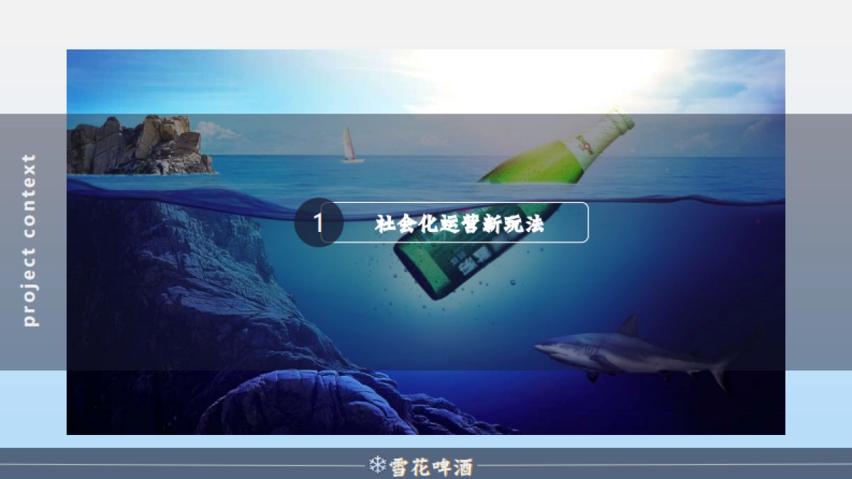 陈婷夫（雪花啤酒2019年度营销策划方案）_第3页