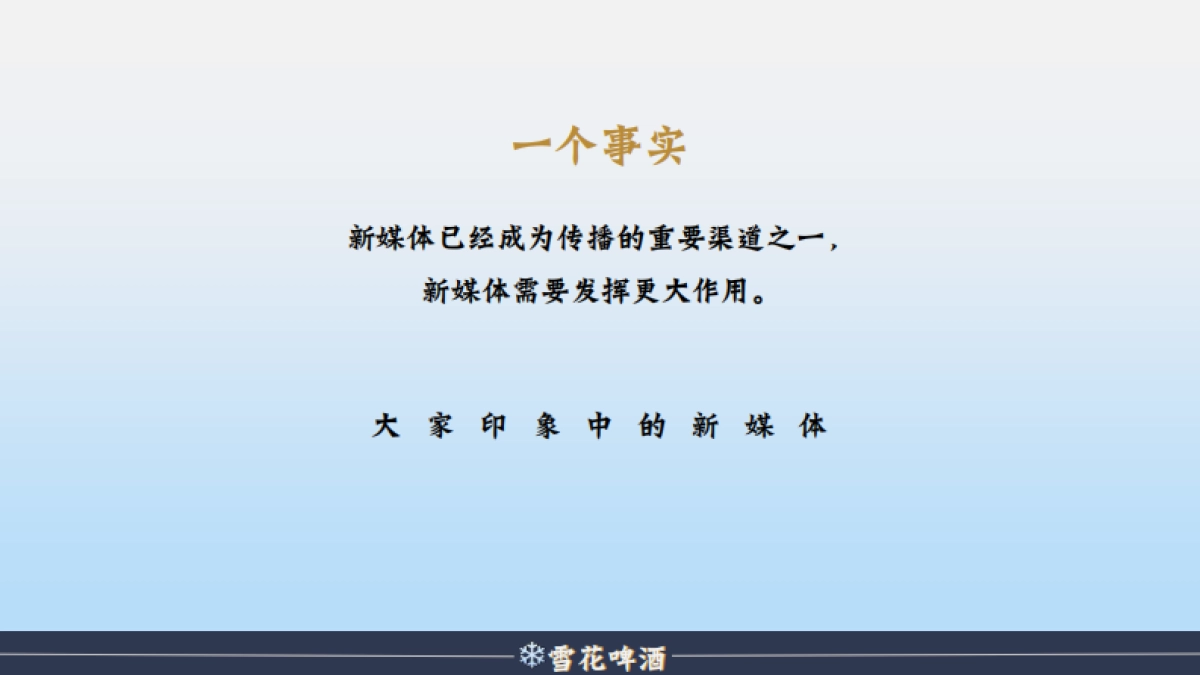 陈婷夫（雪花啤酒2019年度营销策划方案）_第4页