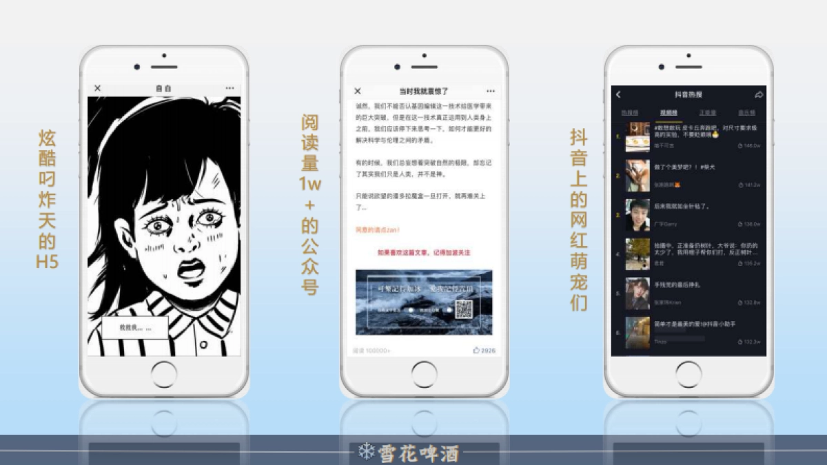 陈婷夫（雪花啤酒2019年度营销策划方案）_第5页