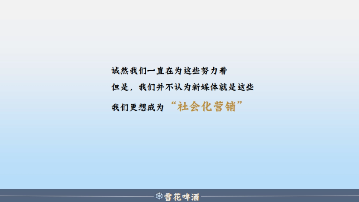 陈婷夫（雪花啤酒2019年度营销策划方案）_第6页