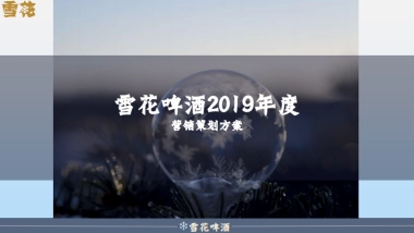 陈婷夫（雪花啤酒2019年度营销策划方案）