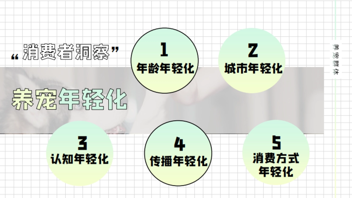 xxx年度再三品牌SOCIAL事件规划_第5页