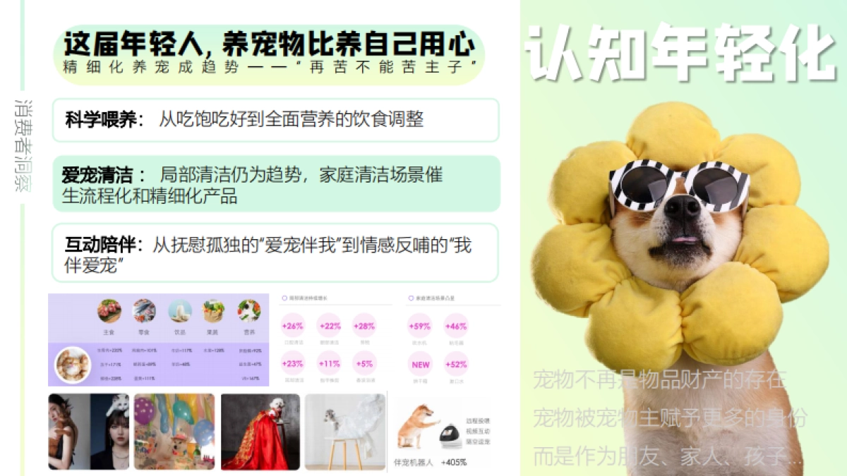 xxx年度再三品牌SOCIAL事件规划_第8页