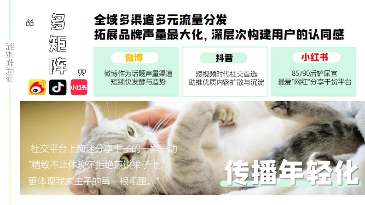 xxx年度再三品牌SOCIAL事件规划_第9页