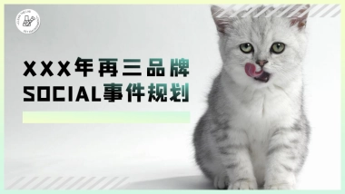 xxx年度再三品牌SOCIAL事件规划