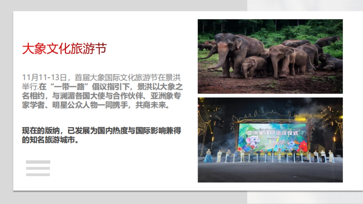 2024重新看见西双版纳：地方文旅年度宣传推广案_第10页