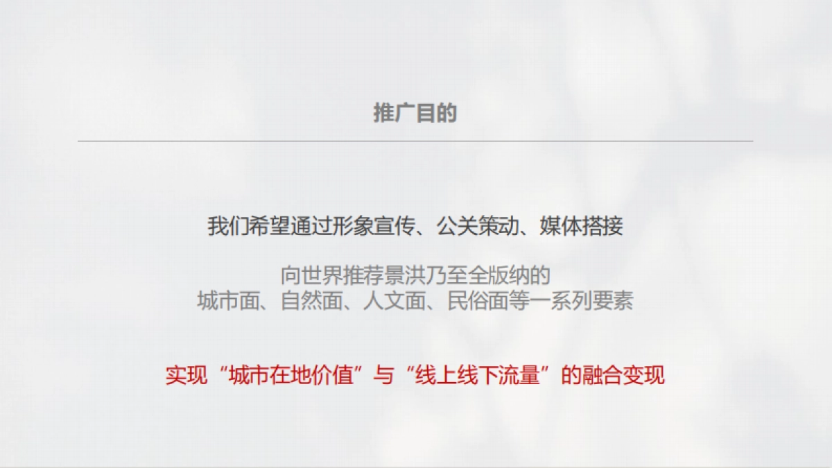 2024重新看见西双版纳：地方文旅年度宣传推广案_第4页