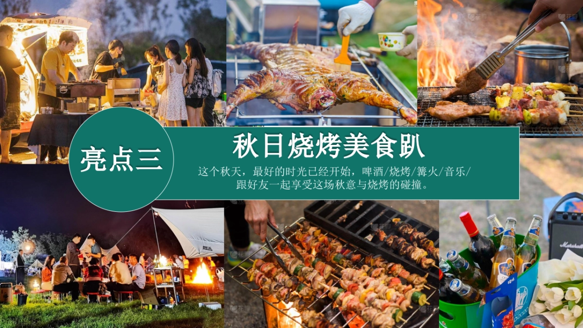 2024去野趣露营秋日露营生活节主题活动策划案_第10页