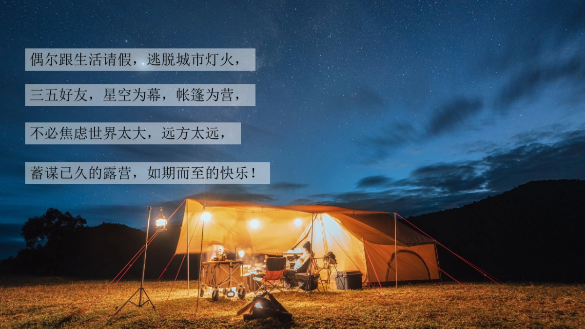 2024去野趣露营秋日露营生活节主题活动策划案_第3页